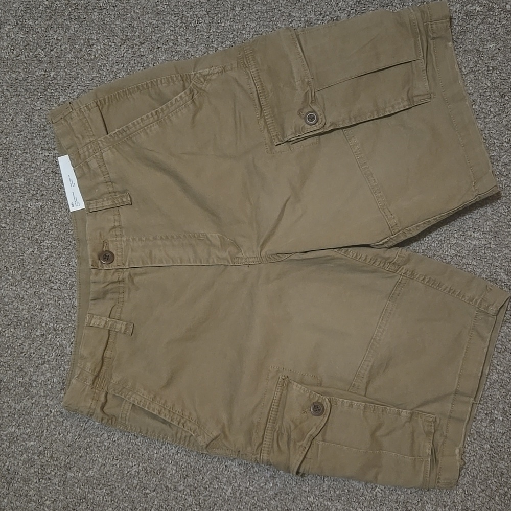 BNWT AE 10" Flex Lived-In Cargo Short - Picture 3 of 5